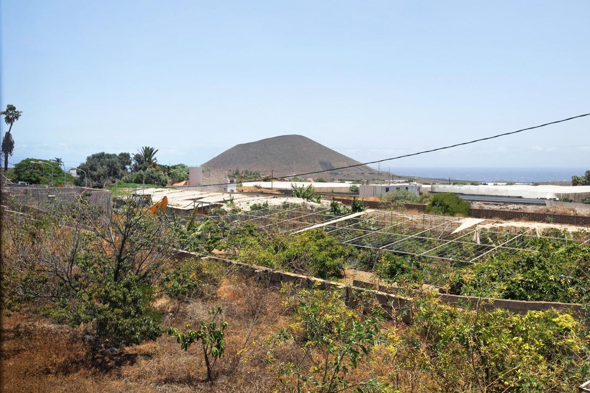 Las Tres Palmeras Guimar Exterior photo